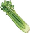 Celery